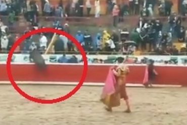 ¡VEA! Un toro saltó la talanquera y causó heridas a tres personas durante la Feria del Sol en Mérida (+Videos impactantes)