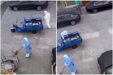 ¡ABRUMADOR! «Les dicen que es por su salud»: reportan matanza masiva de perros y gatos de cualquier persona con COVID-19 en Shanghai (+Video)