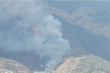 ¡SEPA! Otro fuerte incendio afectó al cerro El Ávila la tarde del #06Abr (+Video)