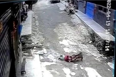 ¡IMPACTANTE! Cámara captó el momento en el que una niña que jugaba en la calle fue atacada y arrastrada por un mono (+Video)