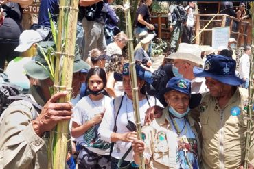 ¡VEA! La tradición de 250 años de los palmeros de Chacao que bajan de El Ávila para el Domingo de Ramos (+Video)