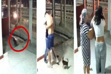 ¡EMOTIVO! Perro dado por perdido regresó solo a su hogar y la familia tuvo explosiva reacción que se hizo viral en las redes (+Video emotivo)