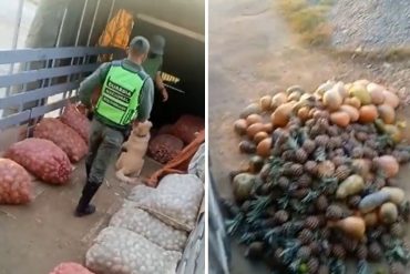 ¡ATENCIÓN! “Por resistirse al matraqueo”: Denuncia que funcionarios de la GNB pisaron y dañaron hortalizas de agricultores de La Grita (+Videos de prueba)