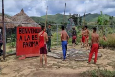 ¡NECESARIO! CIDH condenó el asesinato de 4 indígenas yanomamis en Amazonas y exige sanciones