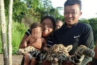 ¡INCONSCIENTES! Detenida pareja que mató a un cunaguaro en Bolívar y lo exhibieron como un logro en sus redes sociales