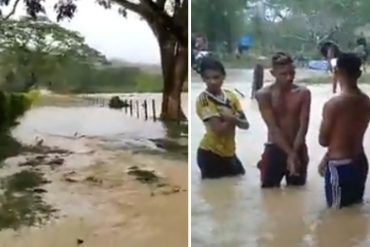 ¡GRAVE! Múltiples familias afectadas por el desbordamiento del río Chaparral en Falcón debido a fuertes lluvias (+Videos)