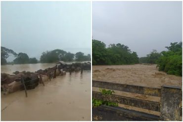 ¡GRAVE! Los estragos que han causado las lluvias en Sur del Lago de Maracaibo: reportan que se rompió el dique en Catatumbo por crecida del río Zulia (+Videos)