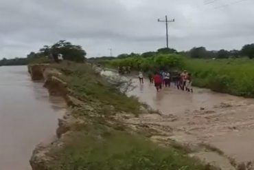 Zonas rurales del municipio Catatumbo en riesgo por crecida del río Zulia que rompió dique