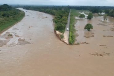 Advierten que al menos 20 mil hectáreas de producción están afectadas en el Sur del Lago