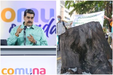 Mientras se denuncia la tala indiscriminada en Chacao y otras zonas del país: Maduro dice que se debe ir a un proceso de reactivación de la Misión Árbol (+Video)