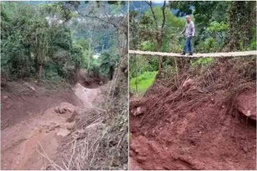 Agricultores de Táchira construyeron un puente con palos y caña seca por el colapso de la carretera (+Fotos)