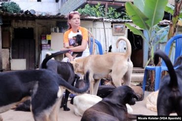 La súplica desde un refugio de animales en Venezuela que colapsa: “Dejen de abandonar y adopten”