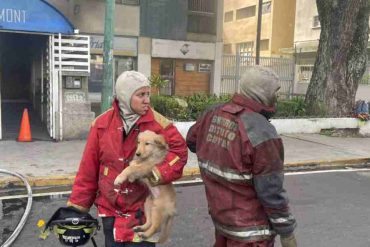 Reportan incendio en el sótano del edificio Belmont en Chacao este #7Jun (+Video)