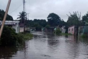 Reportan inundaciones y cortes eléctricos en Amazonas tras las fuertes lluvias (+Fotos +Videos)