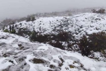 La espectacular nevada que cubrió de blanco el Pico Espejo en Mérida (+Video)