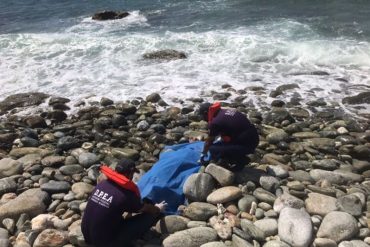 Hallan el cadáver de un niño en La Guaria: Murió mar adentro tras ser arrastrado por la corriente