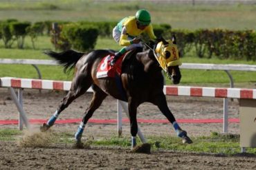 Jinete venezolano Emisael Jaramillo delicado de salud tras caer de su caballo durante una competencia