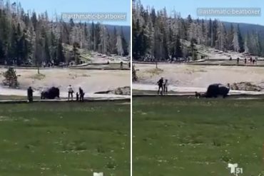 El momento en el que un hombre y un niño fueron atacados por un bisonte mientras paseaban con su familia por un parque nacional en EEUU (+Video)