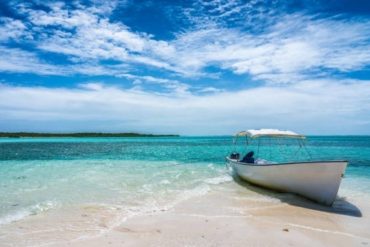 La impactante alerta sobre la contaminación en playas venezolanas: en 2050 la cantidad de plástico podría igualar a la de peces