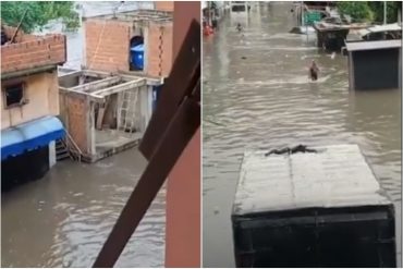 Así se ven las calles del barrio La Línea, en Petare, tras desbordamiento del río Guaire por fuertes lluvias y abandono chavista (+Video)