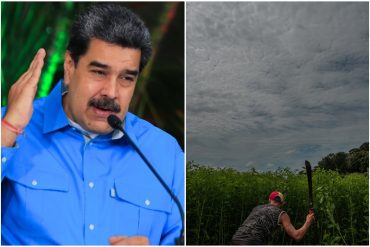 Maduro aseguró que inversionistas de siete países han visitado Venezuela para “evaluar oportunidades de negocios” agrícolas: “Hay gente con ganas de venir a producir”