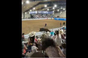 Toro escapó de un rodeo en Florida y desató el pánico entre los asistentes (+Video)