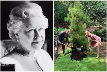 ¿Casualidad o premonición?: Polémica por la última imagen que publicaron en la cuenta de la Familia Real británica un día antes de la muerte de la reina