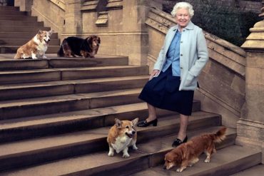 Revelan quién se encargará de los perros corgi de la reina Isabel II tras su fallecimiento