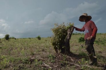 “Raspar” coca: el nuevo método de supervivencia de los migrantes venezolanos acorralados por el hambre (+Video)