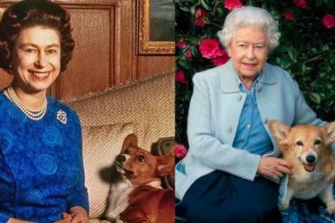 Los 30 perros corgi que apoyaron a la reina Isabel II durante sus 96 años de vida: supervisaba personalmente su dieta diaria