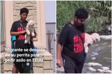 El desgarrador video de un migrante venezolano que tuvo que regalar a su perrita porque no podía entrar a EEUU con ella