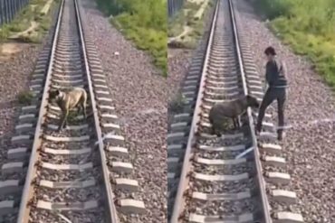 Ataron a un perro a los rieles de un tren en Argentina: el conductor se detuvo para liberarlo (+Video)