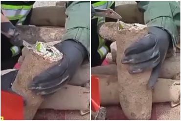 Incautaron 77 kilos de marihuana que estaban camuflados como yuca en Mérida (+Video)