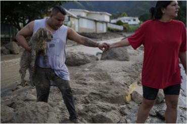 Médicos veterinarios se dan a la tarea de rescatar a los animales abandonados en El Castaño tras el deslave