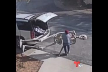 Cámaras pillaron a una mujer robándose un esqueleto gigante de Halloween de una casa en Texas (+Video)