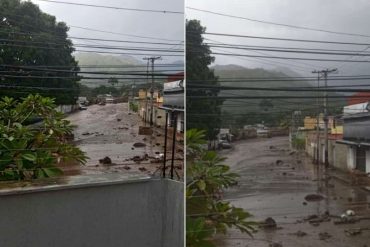 Se desbordó el río El Castaño en Maracay: los habitantes están alarmados (+Fotos +Videos)