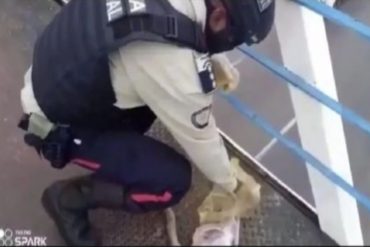 Policía en Barquisimeto intervino para evitar que una mujer se comiera un perro que había sido atropellado