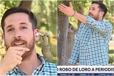 Loro le robó el audífono a un periodista que hacía un reportaje televisivo sobre la inseguridad (+Video)