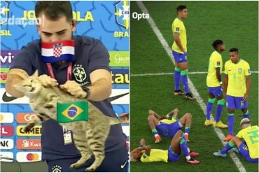 “La maldición se hizo realidad”: en redes no pasan por alto que jefe de prensa de Brasil lanzó a un gato y a eso atribuyen la pérdida en el Mundial (+Video)