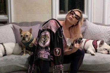 Dictan 21 años de prisión al hombre que le robó los perros a Lady Gaga