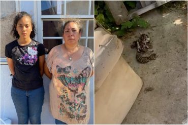 “No nos ayudan por no tener papeles”: madre venezolana y sus dos menores hijas viven entre basura, roedores y víboras en Aruba