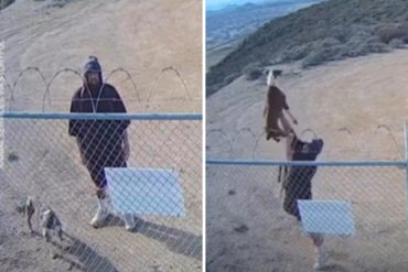 Se viraliza el momento en el que un hombre lanzó a su perro por encima de un alambre de púas y lo abandona (+Video)