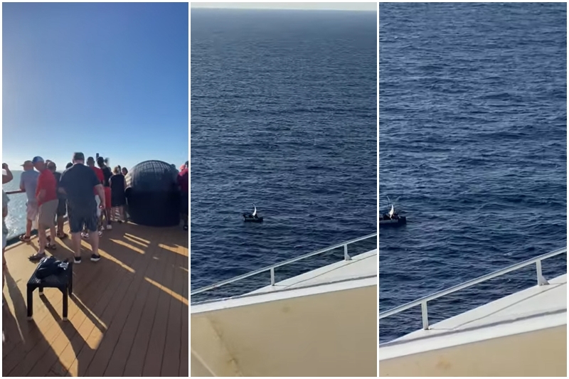 Crucero Carnival Cruise rescató a migrantes cubanos que se dirigían a EEUU en una balsa (+Videos) Crucero Carnival Cruise rescató a migrantes cubanos que se dirigían a EEUU en una balsa (+Videos)