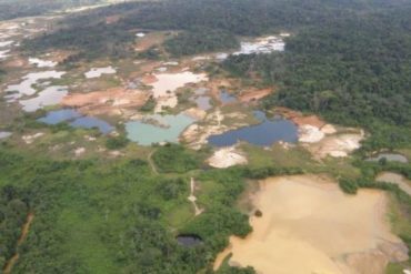 El impacto de la minería ilegal en Venezuela: Más de 750 hectáreas deforestadas en los dos últimos años en el Parque Nacional Yapacana