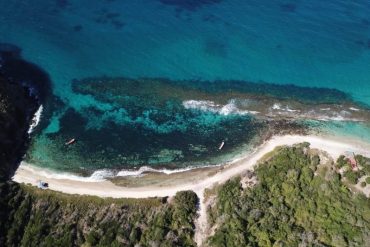 Buzos alertan sobre crecimiento acelerado en zona de Choroní de un coral invasor que ya afecta parte importante de Mochima (+Detalles)