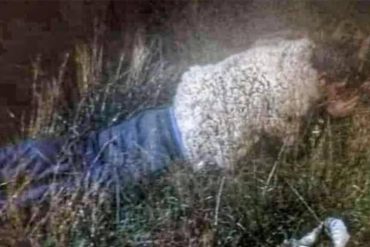 Vestido de oveja: así intentó escapar un preso de una cárcel de máxima seguridad