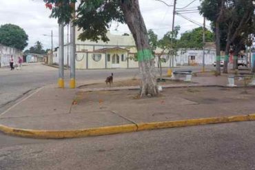 Mataron a un hombre a puñaladas en una plaza de El Tigre: discutió con unos desconocidos en medio de una borrachera