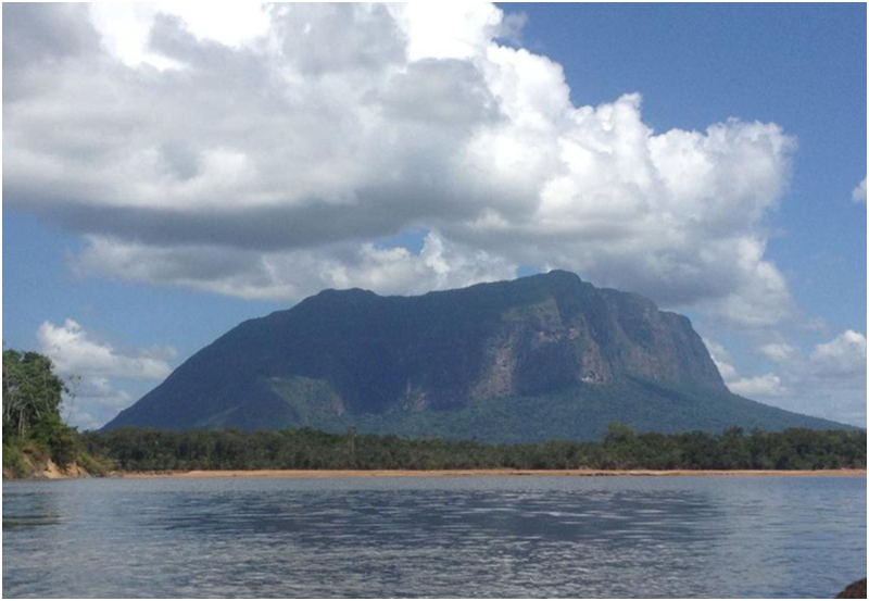 Imágenes satelitales muestran que hay casi 4.000 máquinas de minería ilegal en el Parque Nacional Yapacana, 86 de ellas en la cima del tepuy