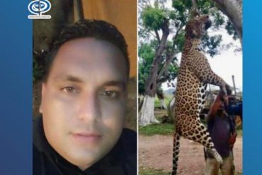 Imputan a sujeto en Monagas que mató a un jaguar y luego lo exhibió en Facebook