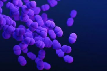 Al menos 9 bacterias y hongos amenazan a la salud mundial y dan volumen a la resistencia antimicrobiana